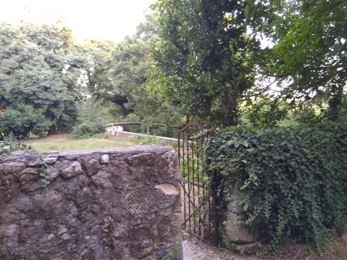 Jankovich Castle Apartamento Benkovac Exterior foto